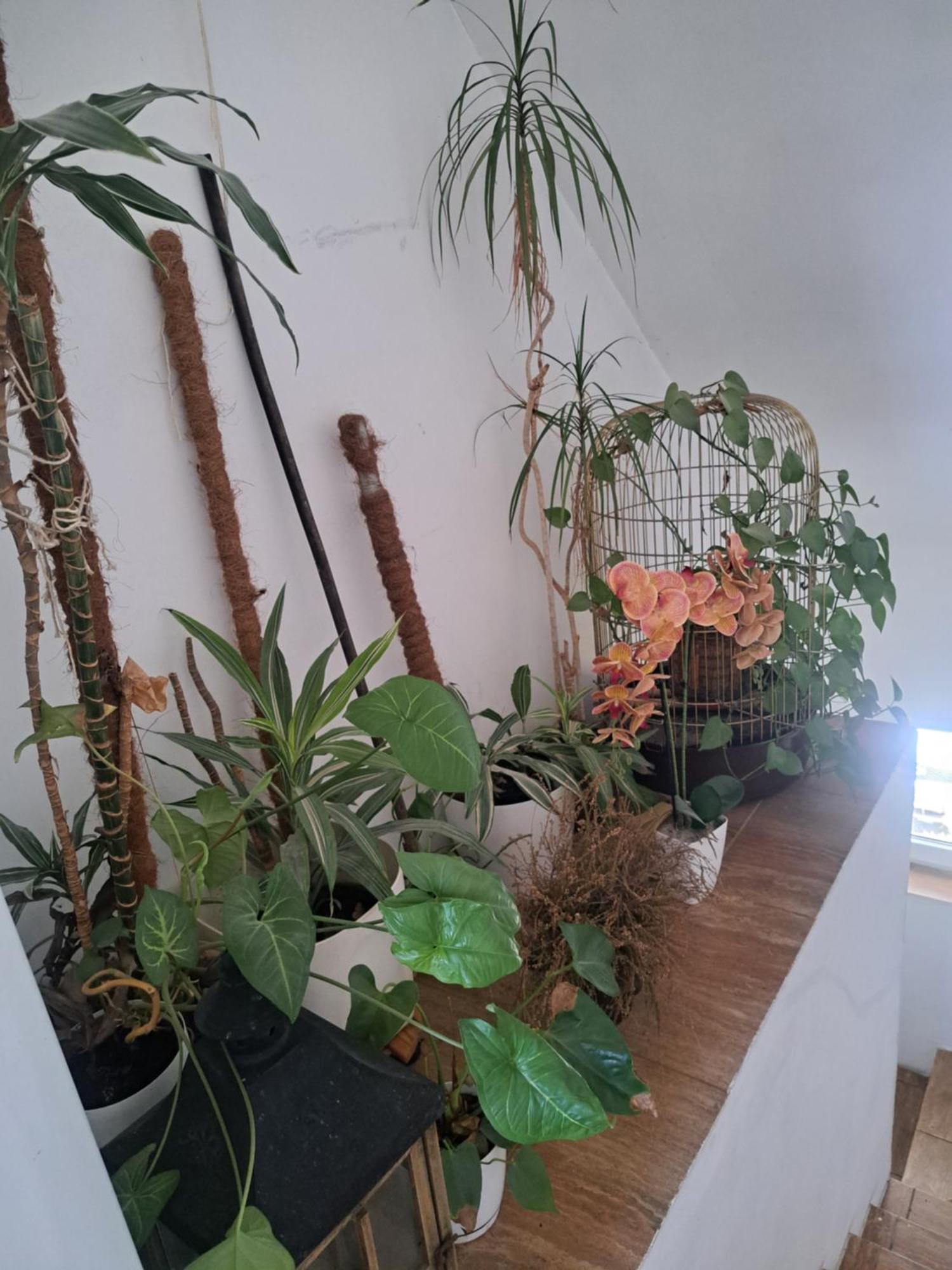 bizon Konuk evi Sadowne Dış mekan fotoğraf