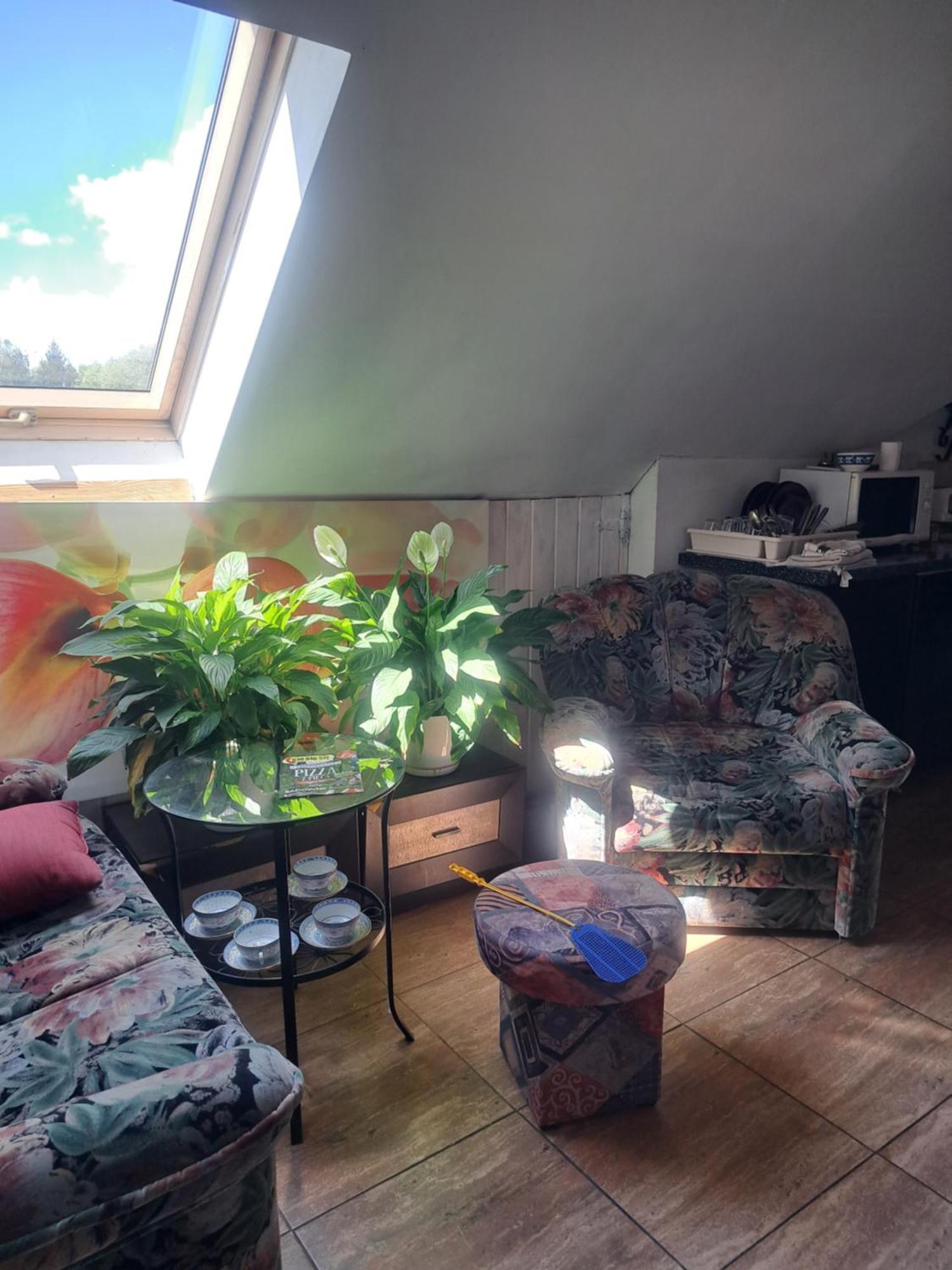 bizon Konuk evi Sadowne Dış mekan fotoğraf